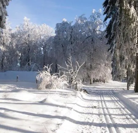 Gasthof Rohrig Гостевой дом