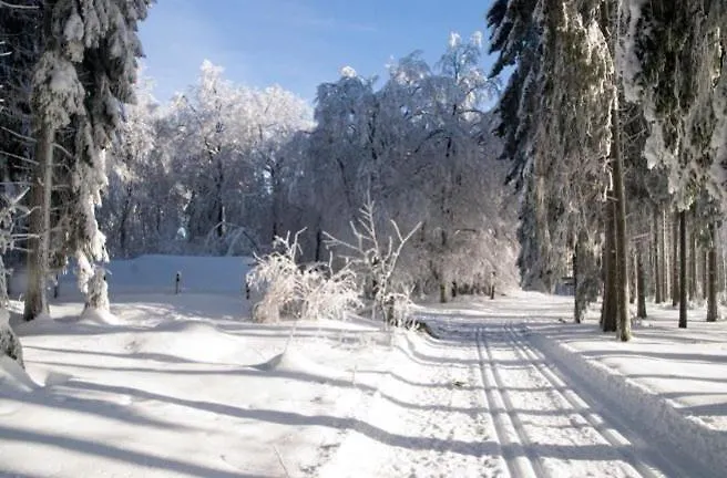 Gasthof Rohrig Gæstehus